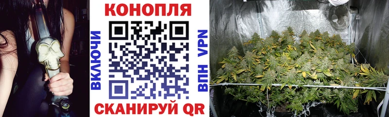 Канабис AK-47  Купить где  Красногорск 